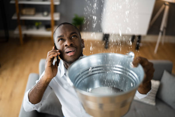 Best Water damage restoration near me  in August, CA