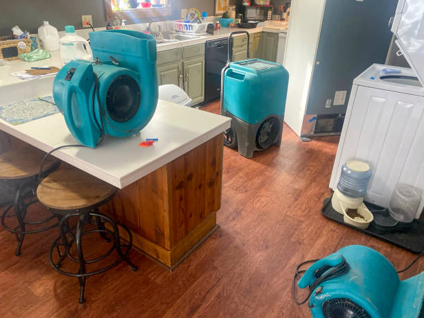 Best 24-hour water damage restoration  in August, CA
