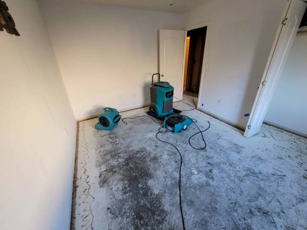 24/7 water damage repair in August, CA
