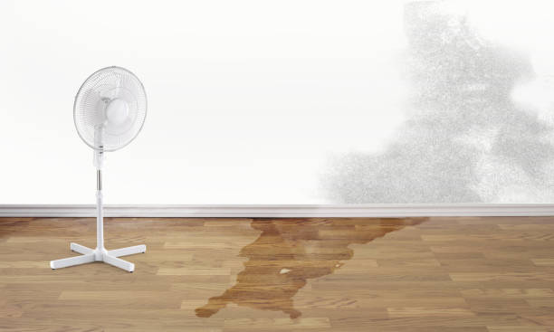 Professional Water damage restoration in August, CA