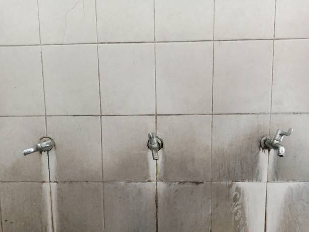 Best Commercial water damage restoration  in August, CA