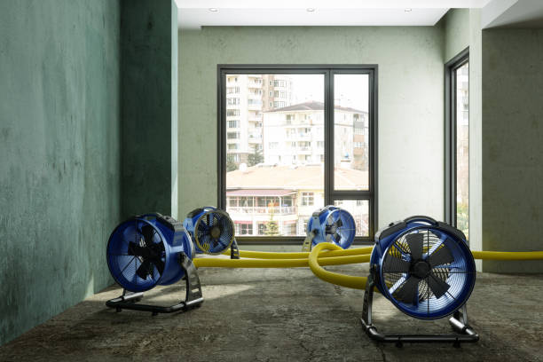 Best Water damage mitigation services  in August, CA